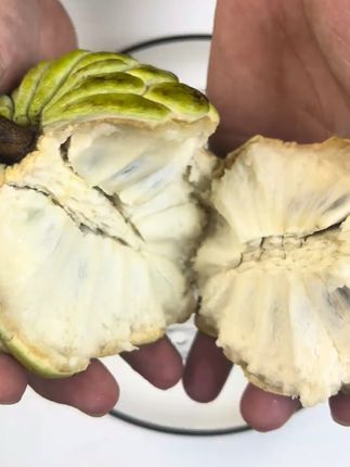 一口爆汁,正宗潮汕释迦果太好吃了! 今天又是一个忙碌的一天!晚上回家吃一个甜滋滋的水果吧~#软糯香甜#应季水果#抖音助农#为家乡农产品代言#被新农人的打卡视频馋到了