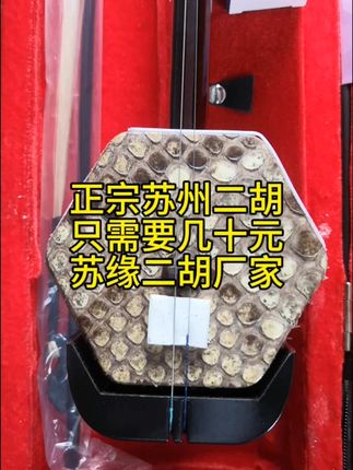 学二胡就选这家!音色纯正,轻松过考级! 想学习民族音乐却不知咋入门?这款乐器帮你搞定!#秋季遛娃好搭子