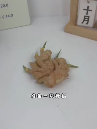 办公室桌面添绿意,养活不愁有保障! 今天下午四点半开始拍下有运费险!可以放心下单了!#你的中秋团圆搭子前来报到 #禄根盆栽 #土培植物 #室内绿植 #花卉绿植
