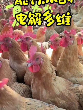 电解多维兽用维生素微量元素猪牛羊鸡鸭鹅养殖专用 #养殖 #养殖人加油 #养殖技术