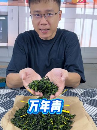 万年青菜干,可以清炒,煮汤,清香脆嫩非常美味 #万年青#农产品#菜干#脱水蔬菜