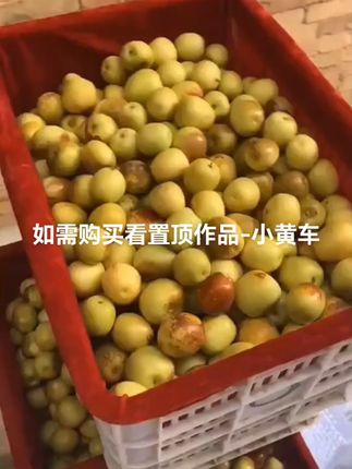 孕妇也能放心吃的脆甜冬枣,新鲜包邮到家! 今天下午四点半开始发货了!下单后就安排打包发走哦~到手超划算!#夏天来点“凉快”美食#贵州素瓜豆汤火了#广州的路灯都有了荔枝味#夏日必备饮品冰鲜柠檬水#听说抱着冬瓜能解暑