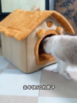 冬天来了!快来看看这款超暖小窝吧~ 可以当沙发、睡袋还可以当被子哦~#十年果篮无人知一朝猫窝天下识 #毛孩子秋日出游变身显眼包 #萌宠好物 #猫窝狗窝 #秋冬猫窝