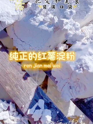 纯红薯淀粉红薯粉农家传统手工制作 大棚内晾晒,干净无沙,工厂直发。#红薯淀粉 #红薯粉 #农家红薯粉 #手工红薯粉 #红薯粉条 