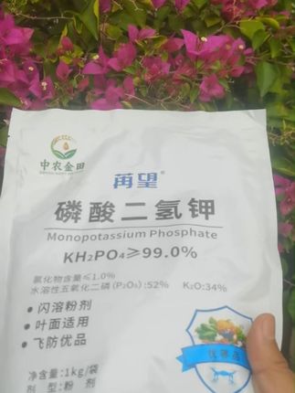 种地省心!苒望磷酸二氢钾,免费退货无忧购 今天下午五点半前下单,明天上午发货!有运费险,收到后不满意可退!#三农#磷酸二氢钾#农资肥料#叶面肥#厂家直发品质保证