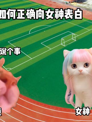如何正确向女神表白 #猫meme #精神状态belike #二次元 #手办 #猎奇