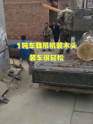 搬货轻松搞定!家用小吊机包邮退货无忧 今天又是一个忙碌的一天!可以放心下单了#工程机械 #车载吊机 #吊机 #起重吊装 #吊装作业