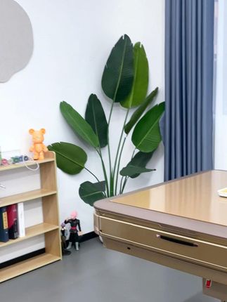 小户型牌局神器! 折叠麻将机展开够四人,收完不挡路,妈妈见了也夸省地儿#小户型麻将机 #两用麻将机 #麻将桌上出人才