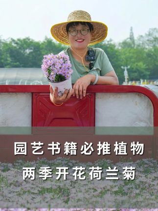 园艺书籍必推植物,两季开花荷兰菊 #花卉绿植 #园艺生活 #鲜花 #紫菀 #海蒂的花园 @抖音小助手