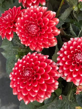 #保姆 #感恩遇见 #分享美好