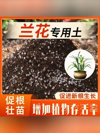兰花专用土 兰花土专用土专用养花营养土疏松透气土壤君子兰墨兰蝴蝶兰种植土#兰花种植 #兰花 #兰花植料 #兰花养护 #养兰人 疏松肥沃的营养基质土,花卉绿植,盆栽蔬菜都适用。