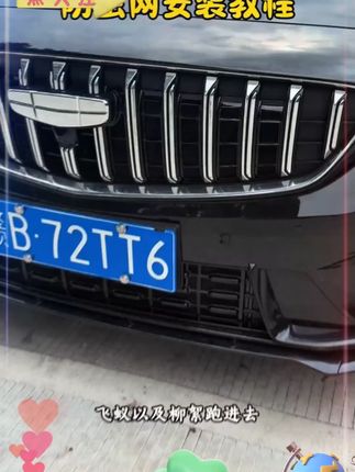 吉利星瑞防虫网,隐形设计,美观实用,网格细腻,不影响原车进气,能够有效防止蚊虫、树叶等异物附着,清理方便,同时提升前脸颜值。适合吉利星瑞21年款至25年款车型  #吉利星瑞  #防虫网  #专车专用  #汽车用品