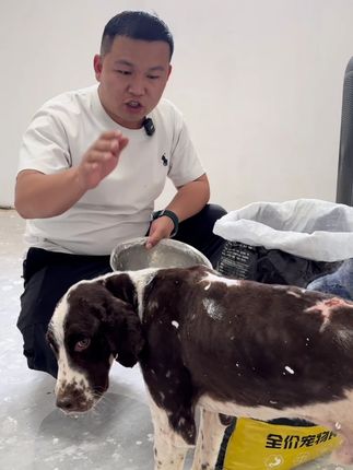 肉球鸡汤狗粮,干着吃酥脆泡着吃香醇#狗粮推荐