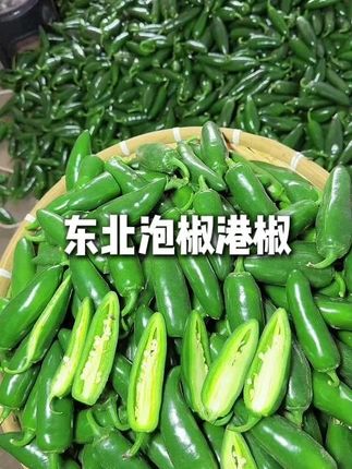 新鲜港椒泡椒大量有货,嗷嗷辣能吃辣的大哥来挑战一下。 #港椒 #港椒咸菜 #港椒咸菜的制作 #下饭菜 #健康蔬菜