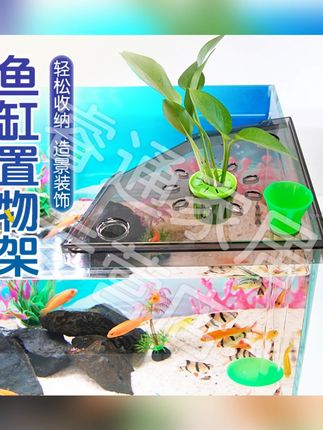 【宠大条】鱼缸转角置物架免打孔鱼食收纳架鱼缸顶部造景支架托盘#鱼缸置物架 #免打孔收纳 #养鱼收纳 #宠大条 #鱼缸配件