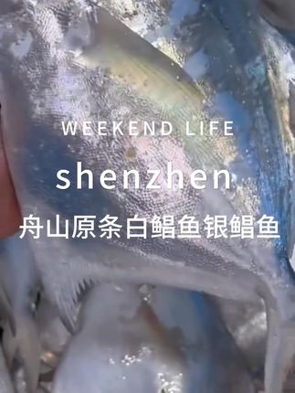 【纯色本味】 舟山原条白鲳鱼银鲳鱼400g*5袋(每袋约4-5条)