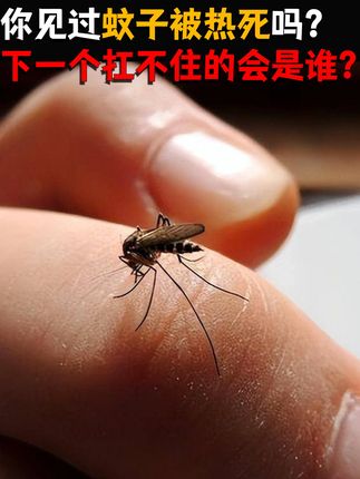 你见过蚊子被热死吗?下一个扛不住的会不会是我们自己?#知识科普 #无限回购的宝藏单品 #内容启发探索