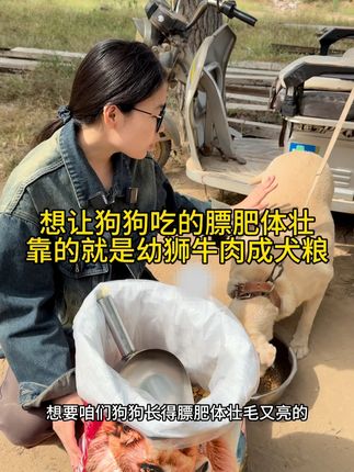 实惠好粮,让狗狗吃肥吃壮毛发亮#狗粮推荐 #源头工厂
