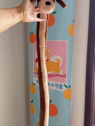 1米超长狗玩具宠物玩具耐咬磨牙洁齿小型犬解闷神器发声狗狗长条#狗狗长玩具 #宠物耐咬玩具 #小型犬玩具 #狗狗洁齿 #宠物解闷