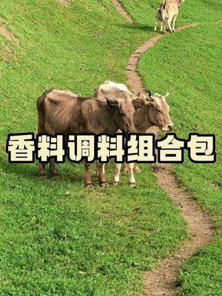 家家户户都用得上的八角香叶桂皮香料包来活动了,6大包才这个价真的太划算了#香料包