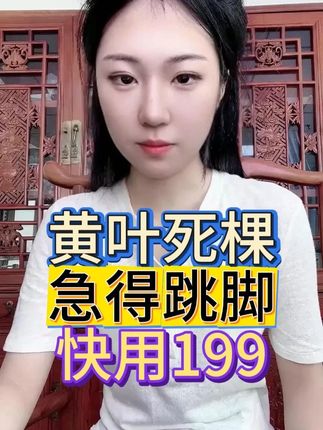 黄叶死棵 急得跳脚!快用199 #三农 #农业种植 #种植技术 #增产增收才是硬道理