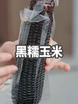 山西黑糯玉米黑玉米加热香甜鲜嫩软糯玉米棒#山西黑糯玉米 #黑糯玉米 #玉米