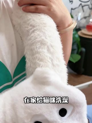 【宠物必备】Airfun宠物免洗精华清洁洗澡湿巾宠物免洗擦浴精华#宠物免洗湿巾 #宠物清洁 #宠物护理 #免洗擦浴 #宠物用品