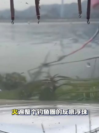 欧式鲤鱼钓组反底钓单钩双钩珠珠钓专钓鲤鱼草鱼微离底欧鲤钓组