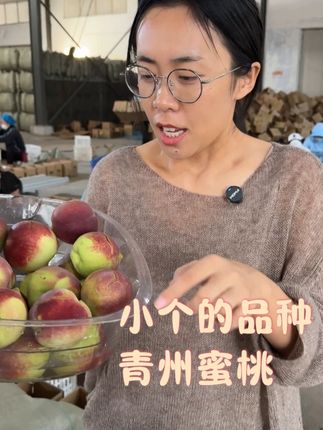 正宗的青州蜜桃就是这种小个的青红相间的桃子哈,是离核的! #青州蜜桃#青州蜜桃熟了#小桃子#冬雪蜜桃#桃子熟了