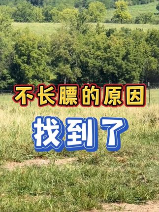 不长膘的原因找到了 #乡村守护人 #来抖音学农技 #农村创业养殖 #我的乡村生活
