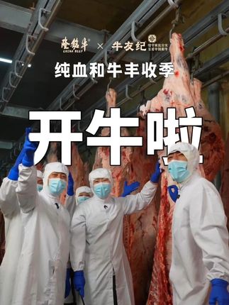 A5的纯血和牛就是养牛人丰收节的奖励,刺身吃简直太香了! #国产和牛 #纯血和牛 #原切牛排 #丰收的季节 #雪花牛肉