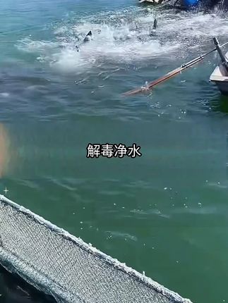 水产养殖专用碧水安解毒剂一桶20斤解毒去油膜提高水体透明度