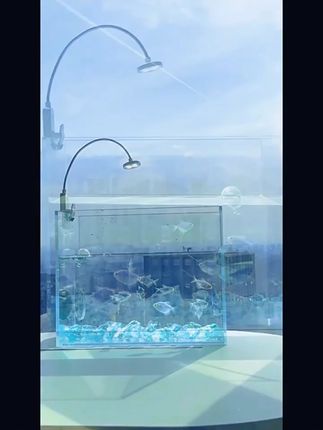 鱼缸灯led照明灯防溅水高亮迷你夹灯充电USB节能观赏灯#鱼缸清洁 #水族好物推荐 #鱼缸用品