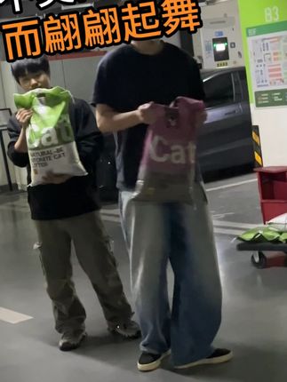 家里猫多的多包囤起真的很划算 #新手养猫 #多猫家庭 #除臭猫砂