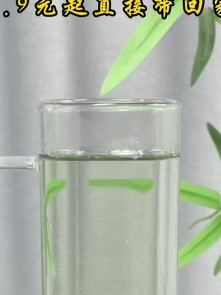 薅羊毛啦!碧螺春新茶限时9.9元,鲜醇甘爽,春日饮茶首选,错过拍大腿!#碧螺春 #以茶会友 #茶