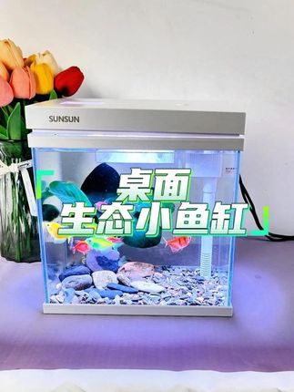 想轻松养鱼,享受只属于自己的治愈时光,选它就对了#超白鱼缸 #一体式鱼缸 #养鱼日记 #鱼缸里的大自然 #治愈