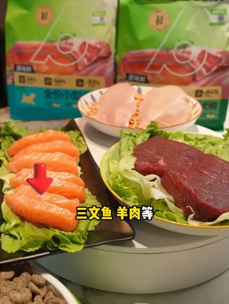 预算有限!!养狗人看过来了!! #萌宠好物 #狗粮推荐 #铲屎官日常 #比乐狗粮 #狗狗