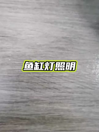 益科达鱼缸灯照明led防水超亮三色潜水灯水族箱广角水草灯推荐 #鱼缸灯 #水草灯 #三色潜水灯 #鱼缸灯照明 #潜水灯