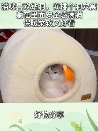 猫咪喜欢钻洞,给它们安排个洞穴窝,躺在里面安全感满满,保暖柔软又好看#猫窝 #萌宠好物 #宠物窝 #秋冬必备 C
