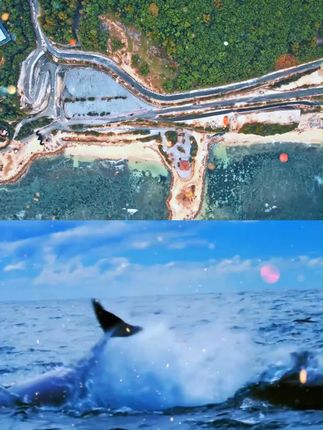 #刘海侧边夹