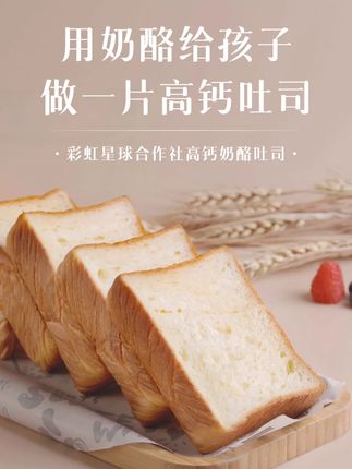 彩虹星球定制|高钙奶酪吐司短保厚切吐司早餐上班族速食烘培面包#高钙奶酪吐司 #厚切吐司面包 #速食面包 #土司面包片 #高钙土司