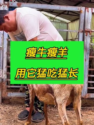养殖户专用