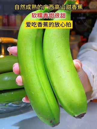 自然成熟不泡药水的广西高山甜香蕉,16.9发五斤,软糯香甜很甜,爱吃香蕉🍌的放心拍!#广西香蕉 #高山甜蕉 #香蕉 #现摘现发新鲜到家 #超便宜超划算 W