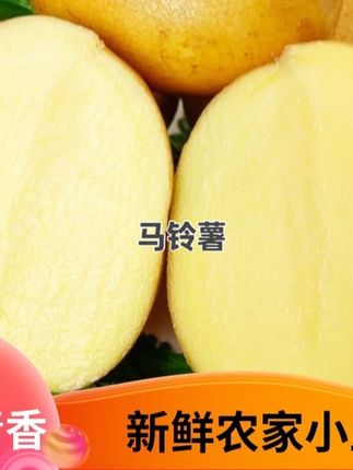 东北新鲜现挖黄皮土豆沙糯粉面开花马铃薯#马铃薯 #优质农产品 #好吃不贵经济实惠 #土豆 #新鲜现挖