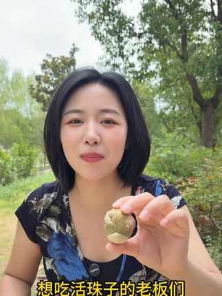 #毛蛋#活珠子#活珠子毛蛋#活珠子的营养价值#凤凰蛋