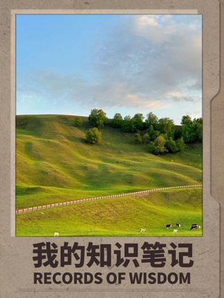韩国人为什么这么爱吃泡菜,看完泡菜加工过程你就知道了#辣白菜 #泡菜