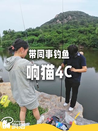 同事钓一次就爱上小物钓了! #小物钓#钓鱼人的快乐#响猫#爱生活爱钓鱼#溪流钓