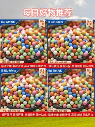 彩色陶粒多肉盆栽铺面花瓶盆栽透气保湿多肉营养土彩陶养花陶粒球#好物推荐🔥 #彩色陶粒 陶粒球