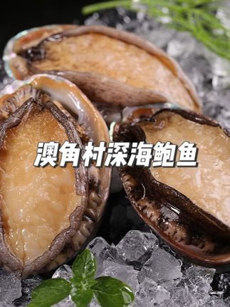 12个皇金鲍鱼 7公分左右/个 福建东山岛澳角村深海鲍鱼 新鲜速冻#鲍鱼 #皇金鲍鱼 #深海鲍鱼 #澳角村深海鲍鱼 #东山岛鲍鱼