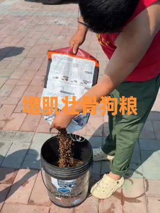 【潘宏同款】增肌壮骨犬粮,性价比之选! #增肌壮骨狗粮 #狗粮推荐 #萌宠好物